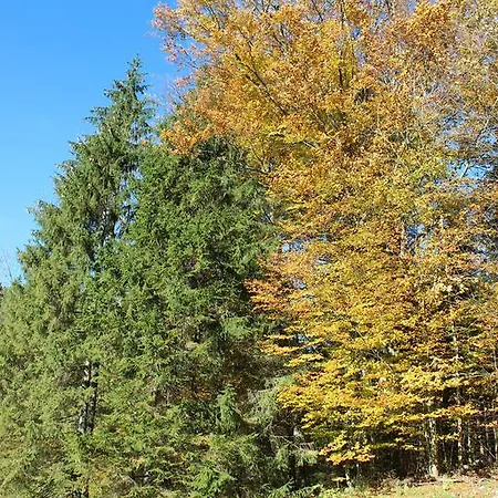 Ferienhaus Am Grattenbach * Aschau im Chiemgau